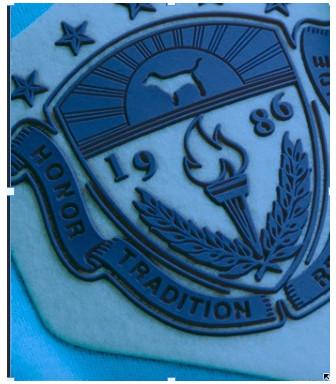 Raised Silicone Transfer