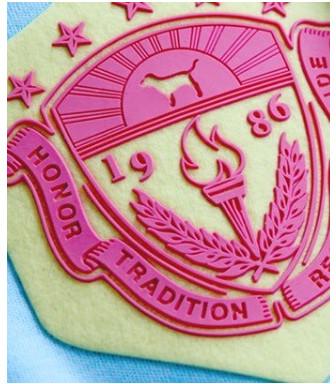 Raised Silicone Transfer